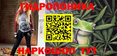 трава Кимры